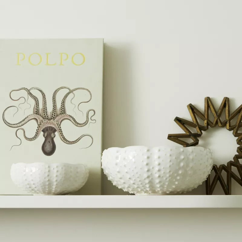 APARTE Bol Oursin En Grès 18 Cm Blanc COSTA NOVA 8 APARTE Bol Oursin En Grès 18 Cm Blanc COSTA NOVA – Image 8