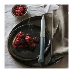 BON APPETIT PLUS Coffret De 4 Couteaux De Table Microdentée Steak OPINEL Glam 4 Couleurs 19 BON APPETIT PLUS Coffret De 4 Couteaux De Table Microdentée Steak OPINEL Glam 4 Couleurs -Peugeot Boutique bon appetit plus coffret de 4 couteaux de table microdentee steak opinel glam 4 couleurs 7