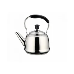 CLAUDETTE Bouilloire à Bec Col De Cygne Inox BEKA 4 L