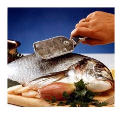 Ecailleur à POISSONS Avec Récupérateur Scalex WESTMARK 9 Ecailleur à POISSONS Avec Récupérateur Scalex WESTMARK -Peugeot Boutique ecailleur a poissons avec recuperateur scalex westmark 3