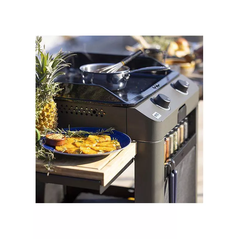 Ensemble Plancha Gaz Fonte Et Chariot Combo Fusion ENO 60 Gris Cargo Nouveau Modèle 9 Ensemble Plancha Gaz Fonte Et Chariot Combo Fusion ENO 60 Gris Cargo Nouveau Modèle – Image 9