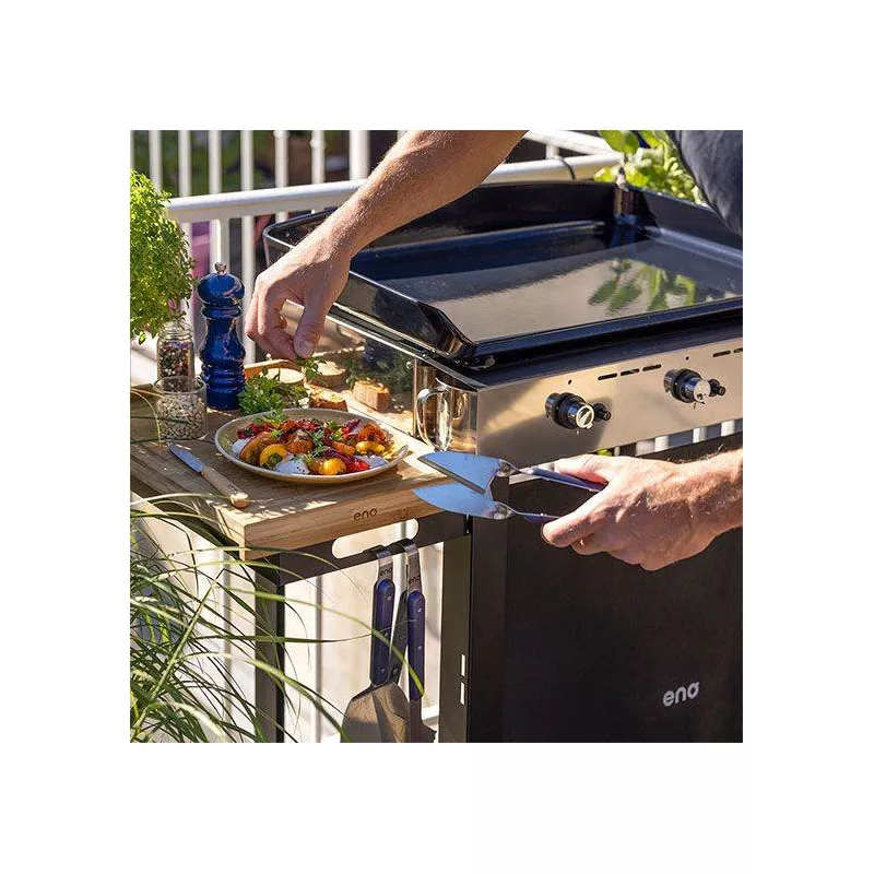 Ensemble Plancha Gaz Fonte Et Chariot Combo Initial ENO 65 5 Ensemble Plancha Gaz Fonte Et Chariot Combo Initial ENO 65 – Image 5