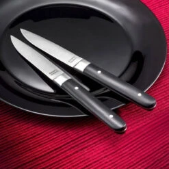 FUSION Coffret De 4 Couteaux Steak Amefa -Peugeot Boutique fusion coffret de 4 couteaux steak amefa 6