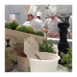 GEORGETTE Demoiselle Biodégradable Fourchette Finition Sable Blanc X 25 SC -Peugeot Boutique georgette demoiselle biodegradable fourchette finition sable blanc x 25 sc 9