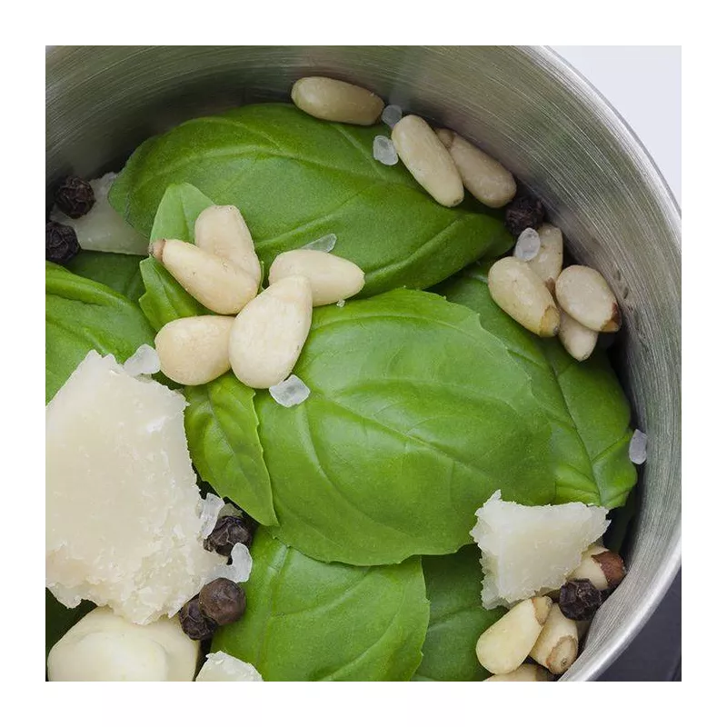 Mini Hachoir Moulin à Café électrique UZ 200 CASO 20 Mini Hachoir Moulin à Café électrique UZ 200 CASO – Image 20