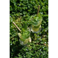 MOJO Coffret Meilleurs Verres à Mojito Cookut 19 MOJO Coffret Meilleurs Verres à Mojito Cookut -Peugeot Boutique mojo coffret meilleurs verres a mojito cookut p 5