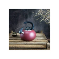 NEPTUNE Bouilloire à Sifflet Inox Induction CRISTEL 1,9L Rouge