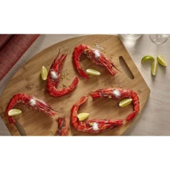 Plancha Electrique En Fonte Chassis Inox FORGE ADOUR 2 Feux PREMIUM 60 -Peugeot Boutique plancha electrique en fonte chassis inox forge adour 2 feux premium 60 8